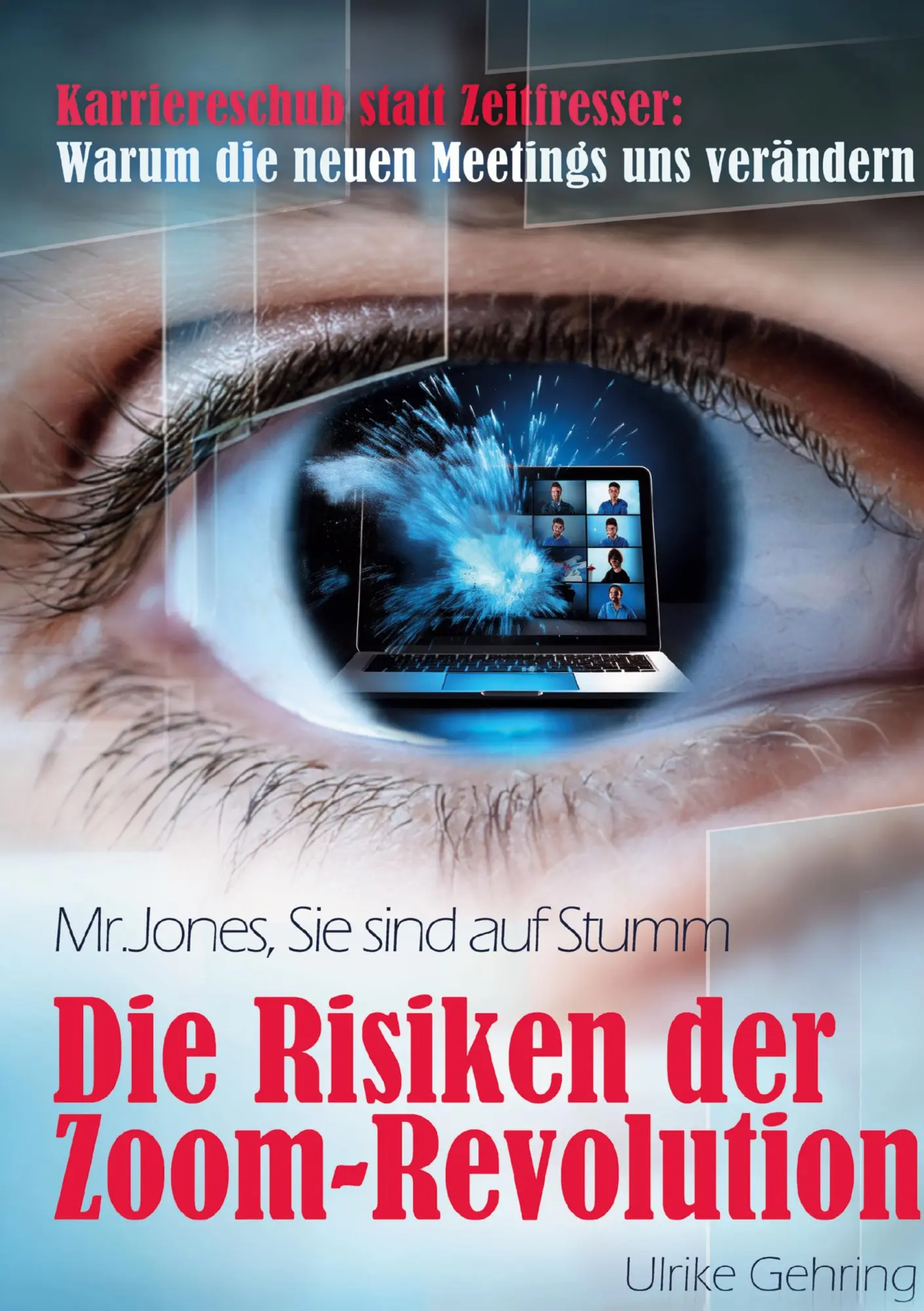 Cover: 9783769317244 | Die Risiken der Zoom-Revolution | Ulrike Gehring | Buch | 296 S.