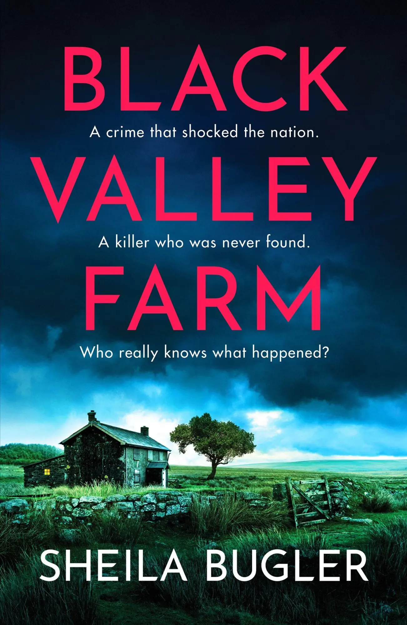 Cover: 9781800327344 | Black Valley Farm | An absolutely unputdownable crime thriller | Buch