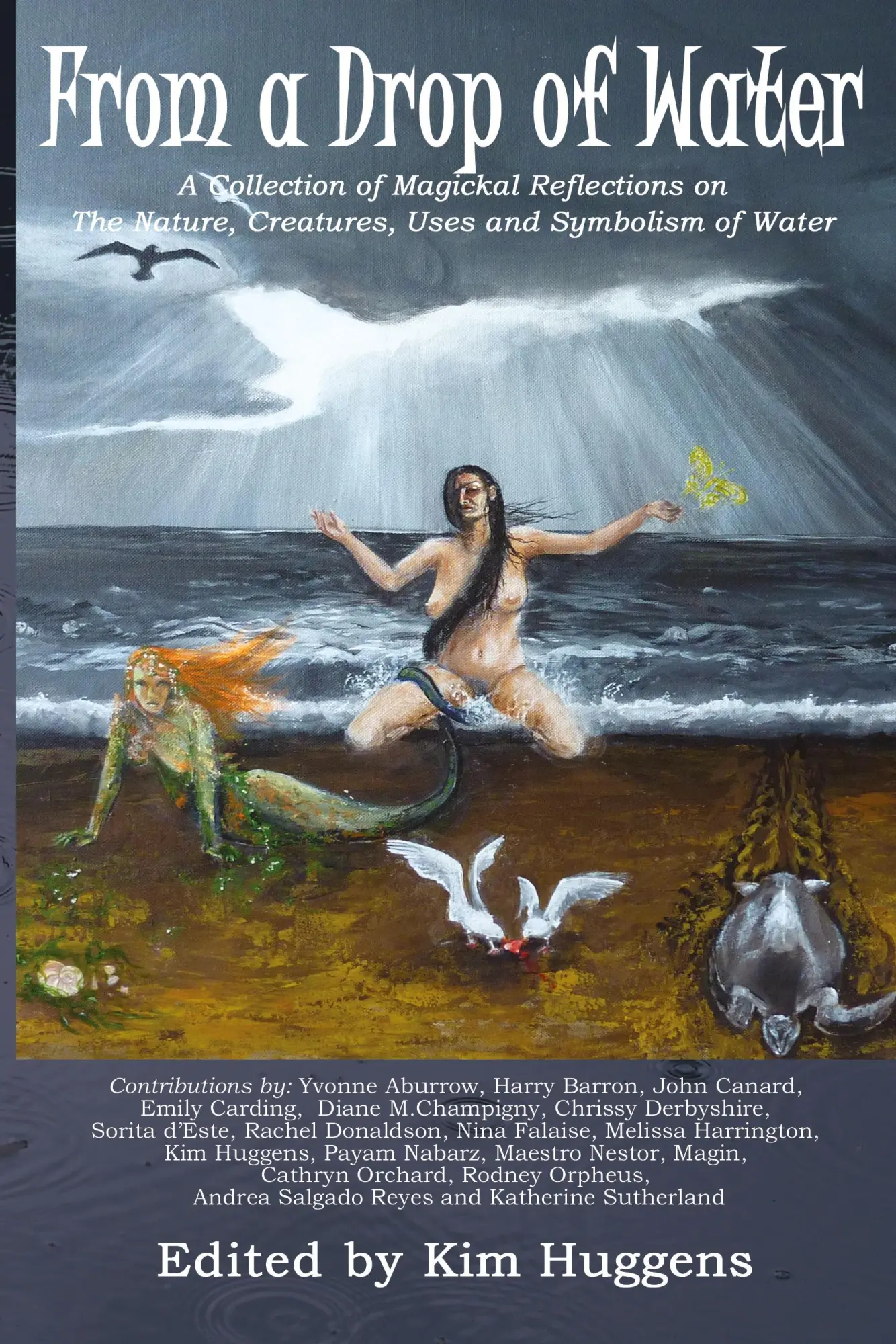 Cover: 9781905297344 | From a Drop of Water | Taschenbuch | Englisch | 2009 | Avalonia
