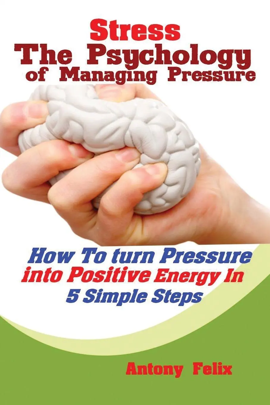 Cover: 9781951737344 | Stress | Felix Antony | Taschenbuch | Kartoniert / Broschiert | 2019