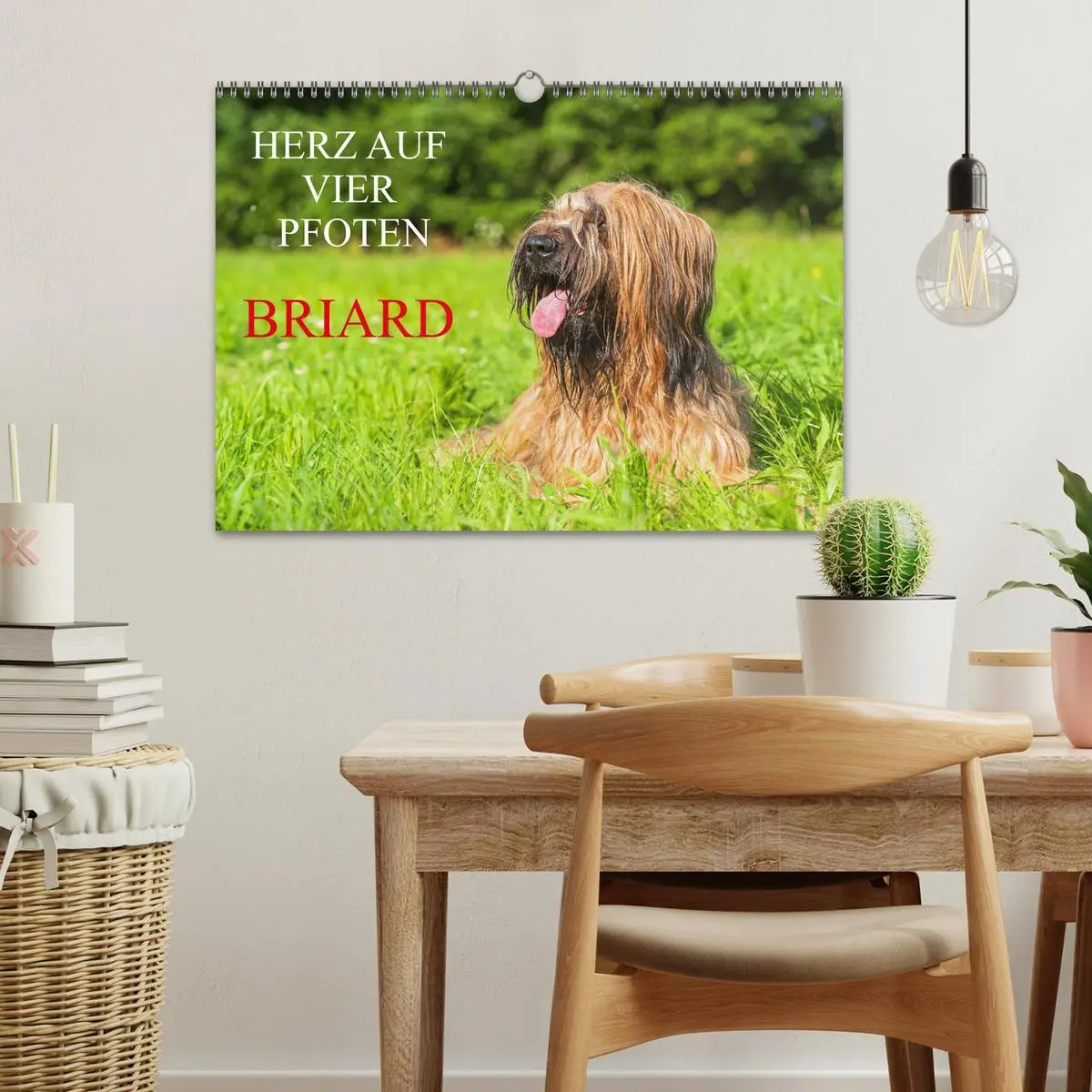 Bild: 9783457387344 | Herz auf vier Pfoten - Briard (Wandkalender 2026 DIN A3 quer),...