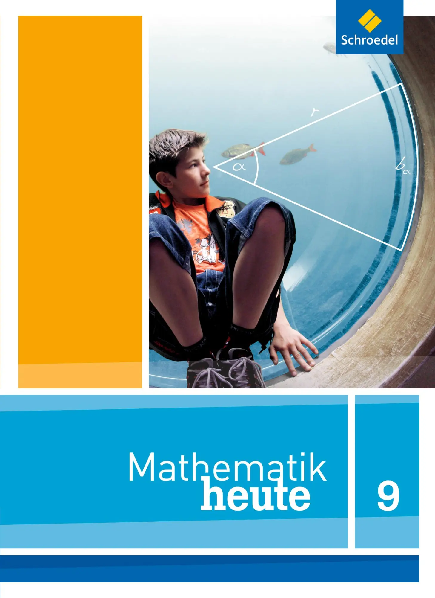 Cover: 9783507877344 | Mathematik heute 9. Schulbuch. Niedersachsen | Ausgabe 2012 | Hofe