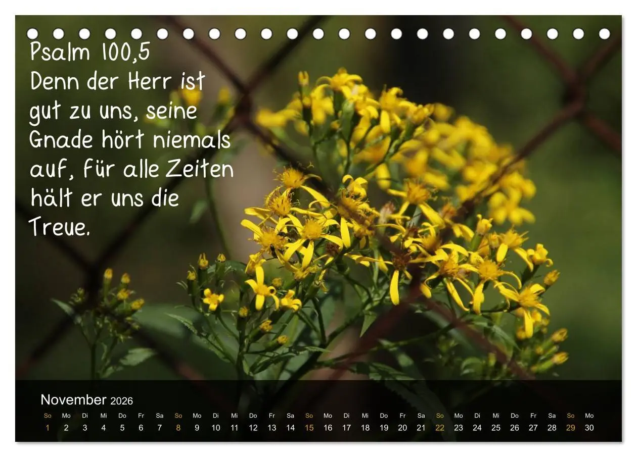 Bild: 9783516167344 | Schöpfung im Licht (Tischkalender 2026 DIN A5 quer), CALVENDO...
