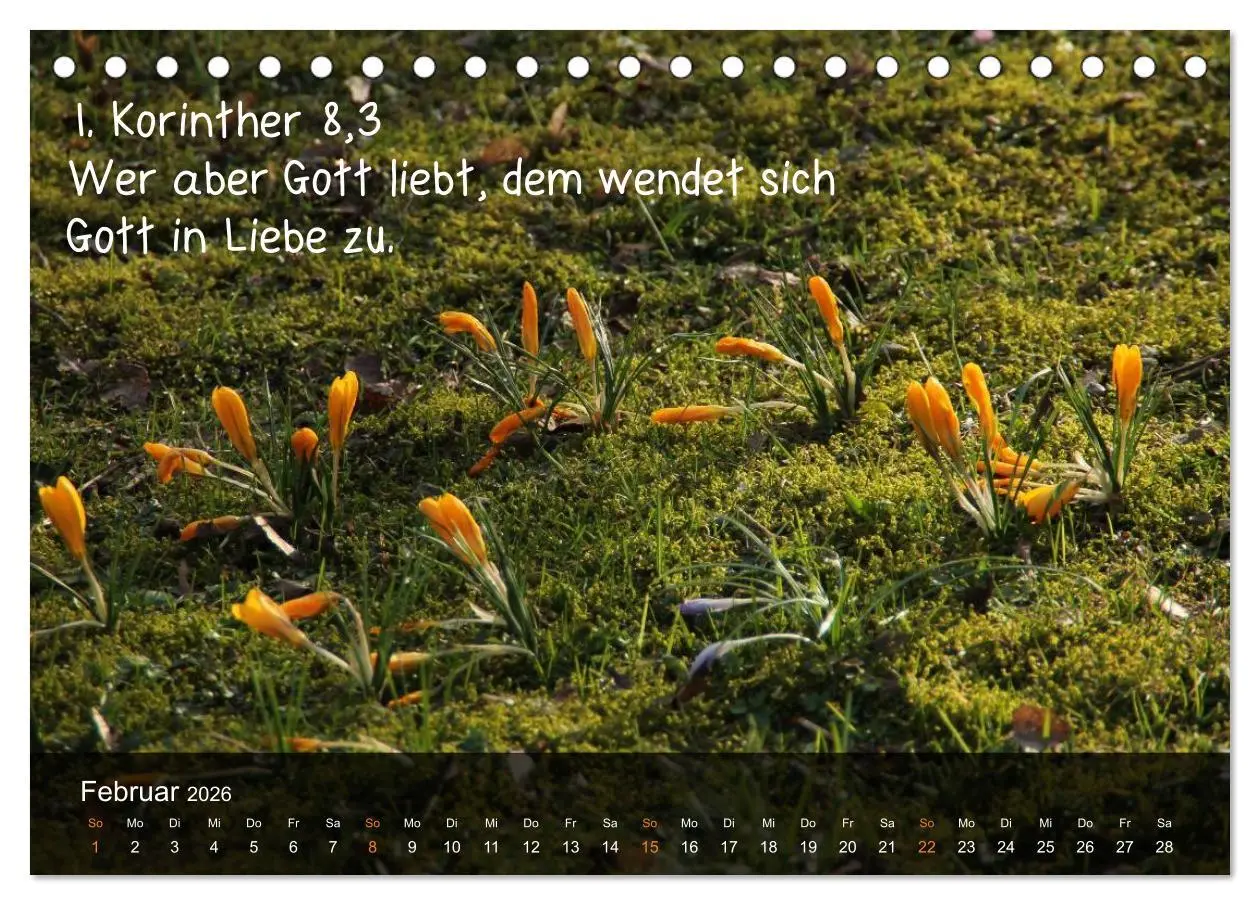 Bild: 9783516167344 | Schöpfung im Licht (Tischkalender 2026 DIN A5 quer), CALVENDO...