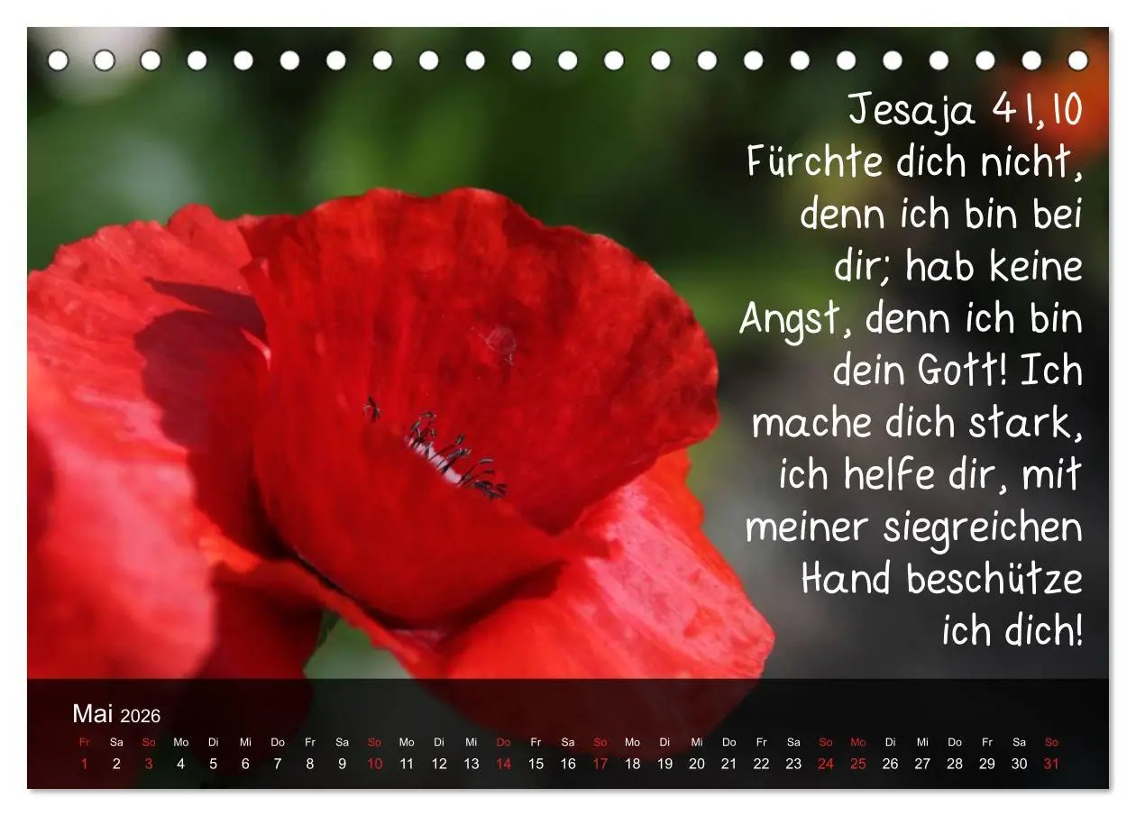 Bild: 9783516167344 | Schöpfung im Licht (Tischkalender 2026 DIN A5 quer), CALVENDO...