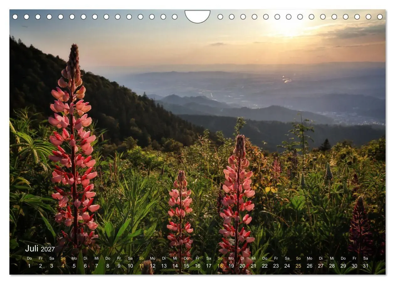 Bild: 9783569017344 | Faszination Schwarzwald (Wandkalender 2027 DIN A4 quer), CALVENDO...