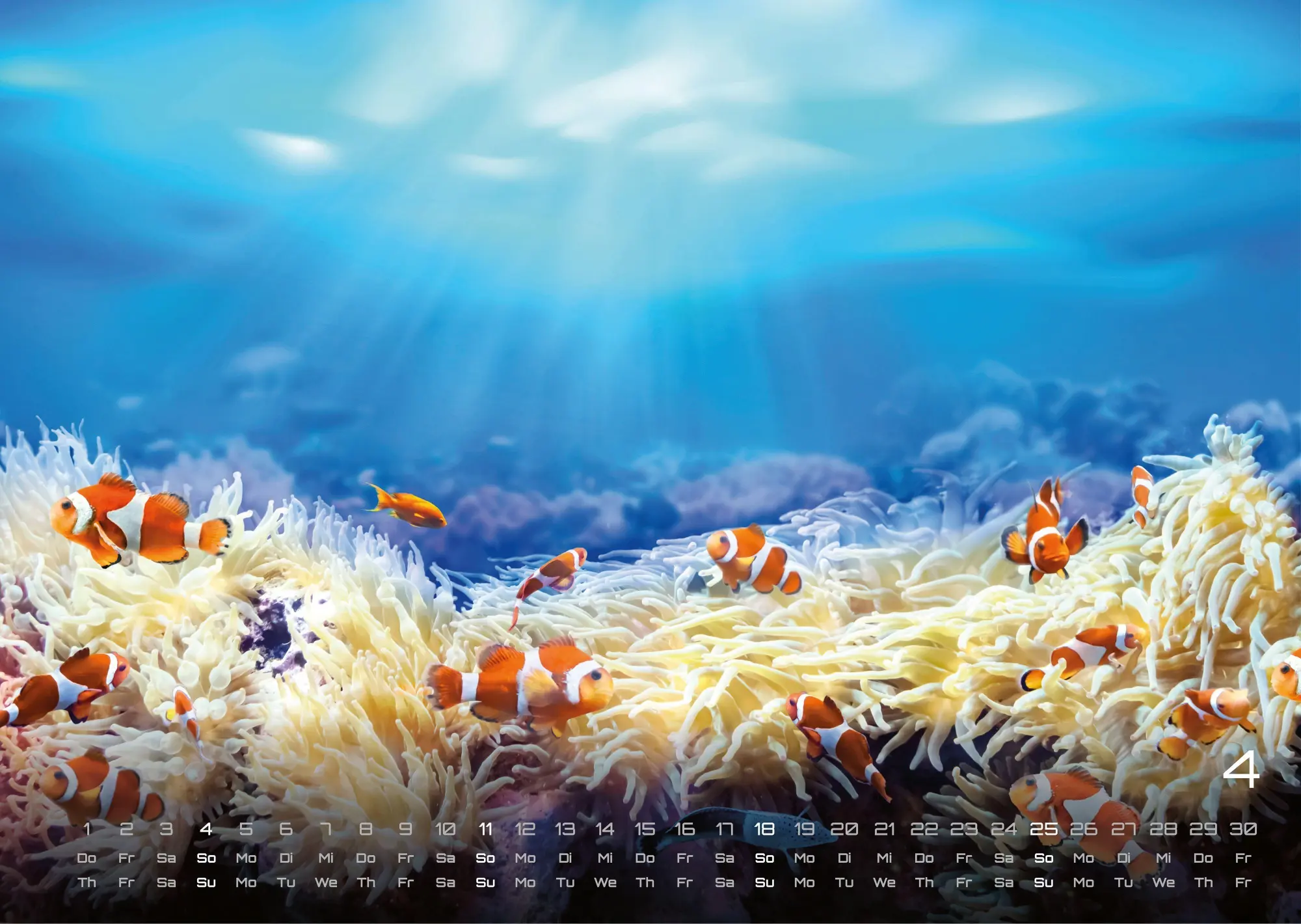 Bild: 9783986737344 | Meer - Im Rhythmus der Gezeiten! - 2027 - Kalender DIN A3 | de | 15 S.