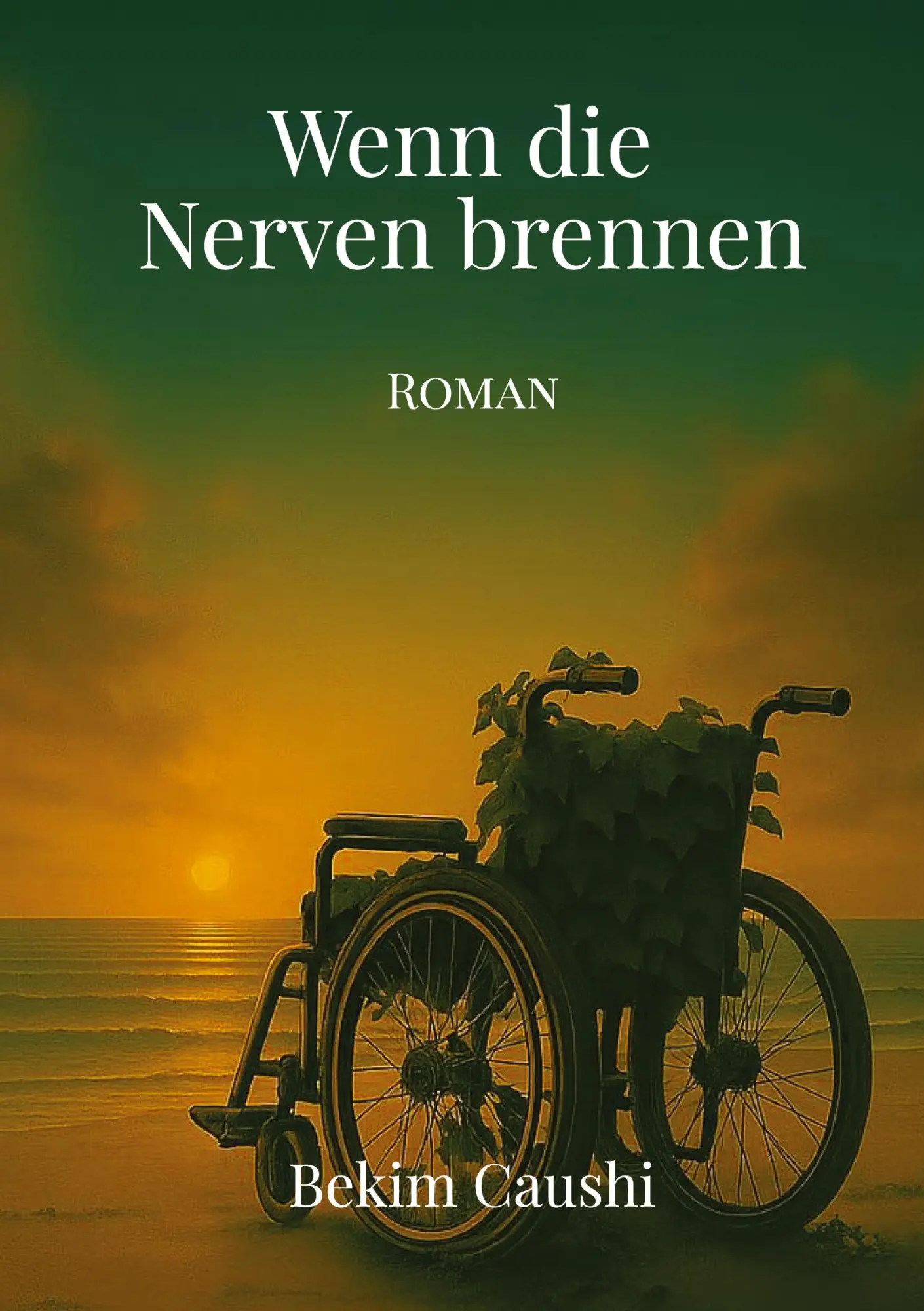Cover: 9783384637444 | Wenn die Nerven brennen | Bekim Caushi | Taschenbuch | 616 S. | 2025