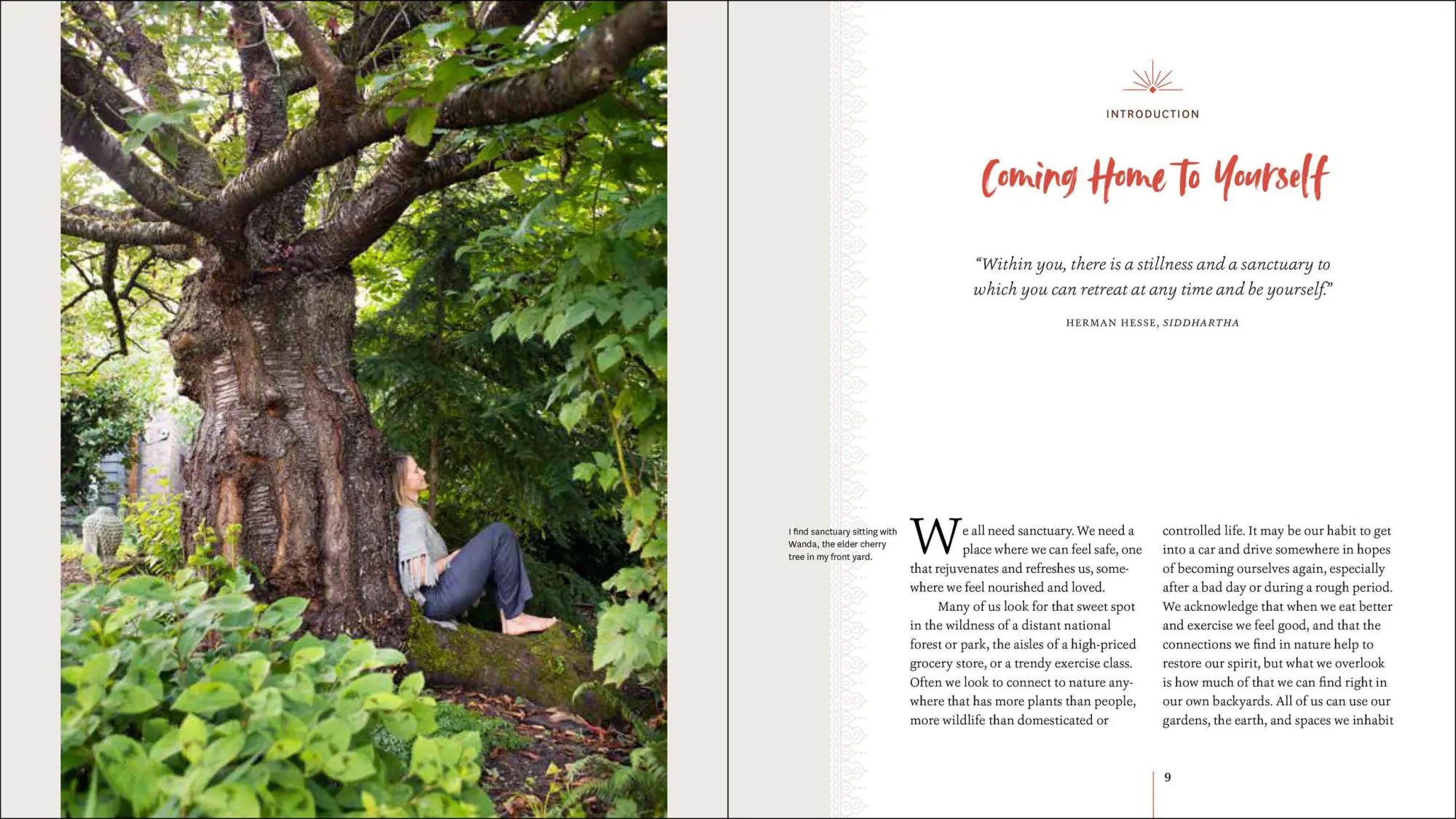 Bild: 9781604697544 | Creating Sanctuary | Jessi Bloom | Taschenbuch | Englisch | 2018