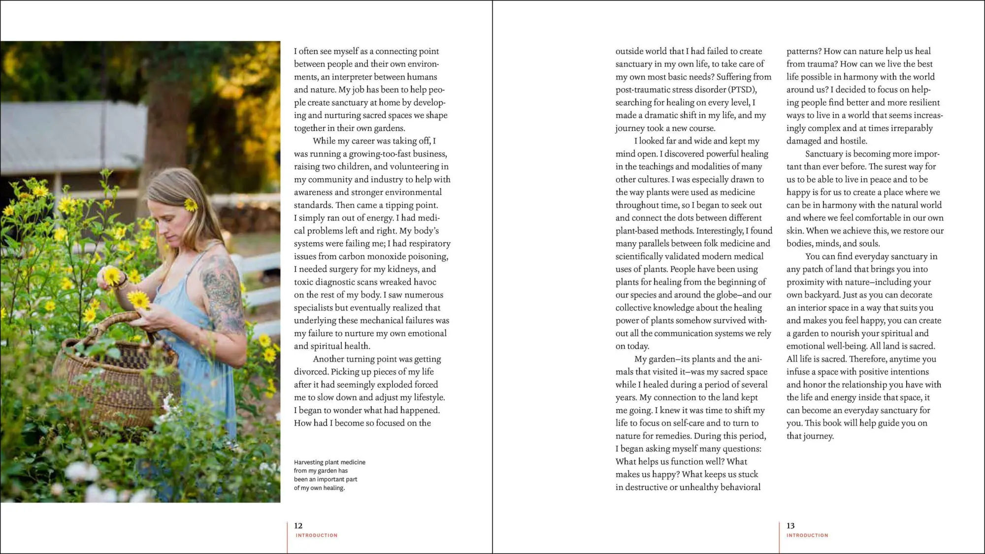 Bild: 9781604697544 | Creating Sanctuary | Jessi Bloom | Taschenbuch | Englisch | 2018