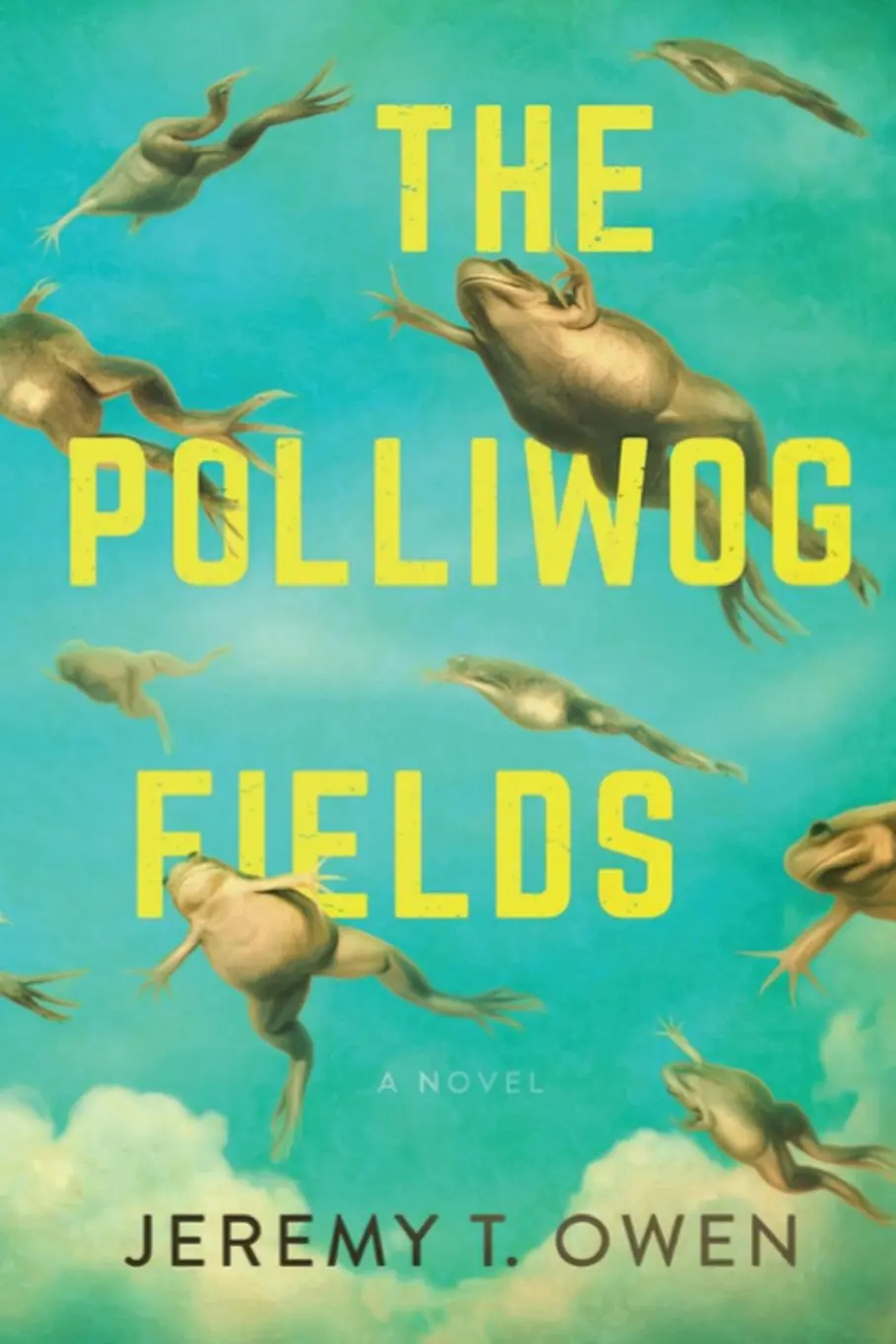 Cover: 9781543997644 | The Polliwog Fields | Jeremy Owen | Taschenbuch | Englisch | 2020