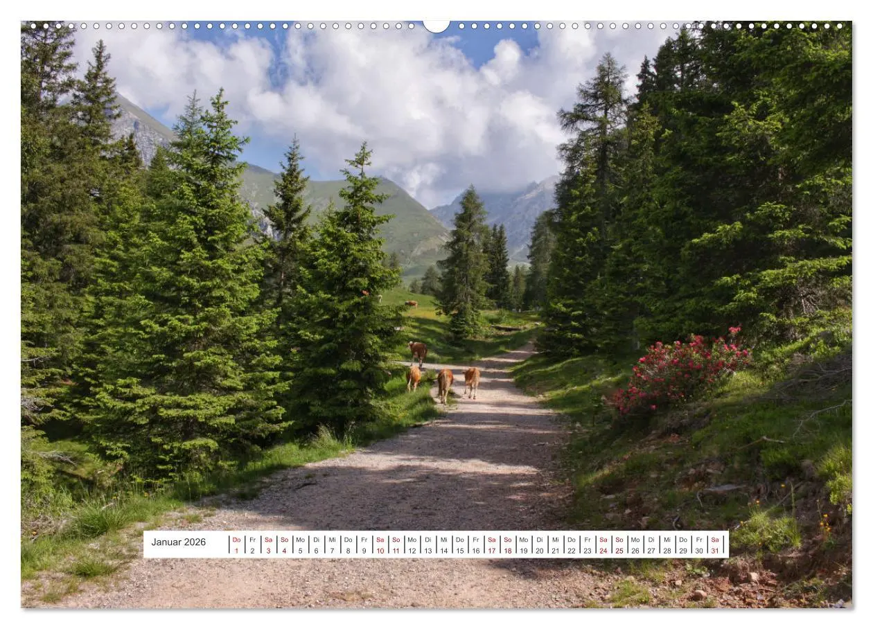 Bild: 9783457597644 | Zauber der Berglandschaft (Wandkalender 2026 DIN A2 quer), CALVENDO...