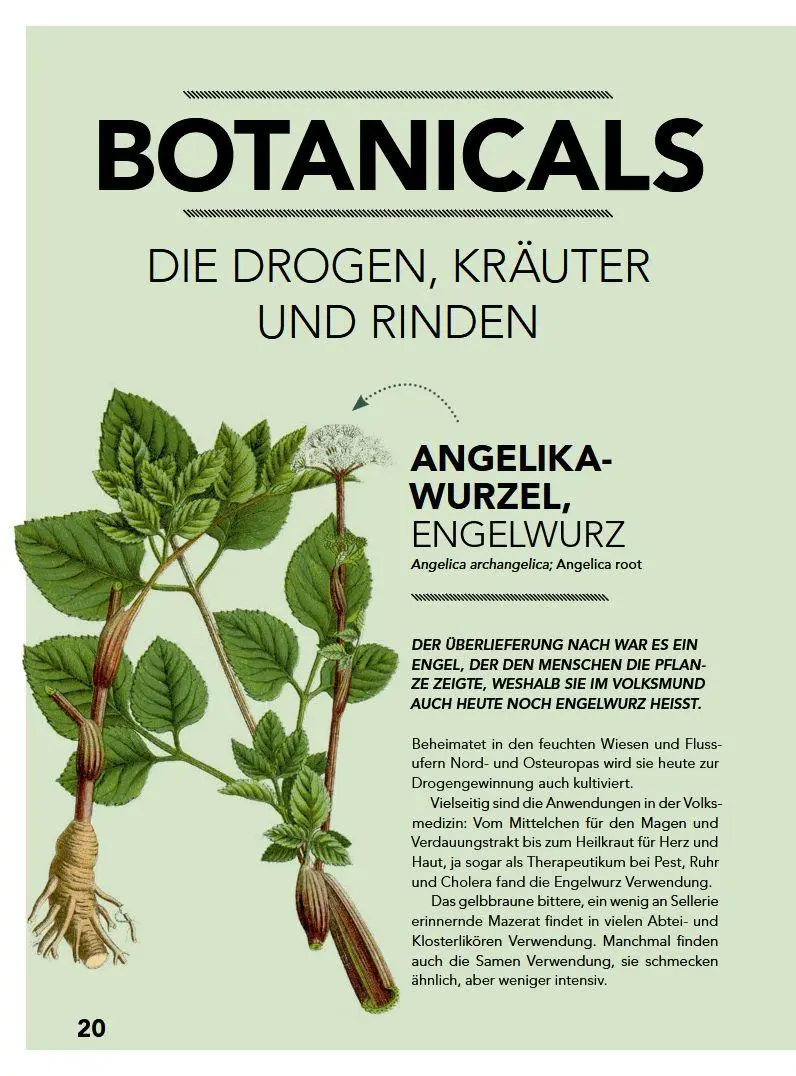 Bild: 9783702017644 | Gin, Bitter, Wermut | Botanicals - Herstellung - Genuss | Buch | 2018
