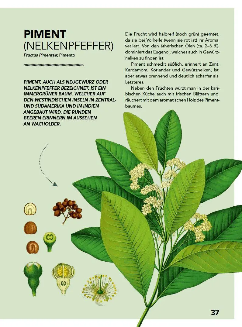 Bild: 9783702017644 | Gin, Bitter, Wermut | Botanicals - Herstellung - Genuss | Buch | 2018