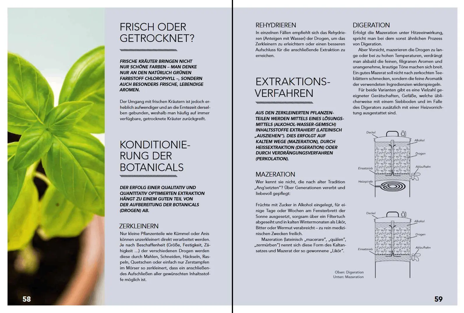 Bild: 9783702017644 | Gin, Bitter, Wermut | Botanicals - Herstellung - Genuss | Buch | 2018