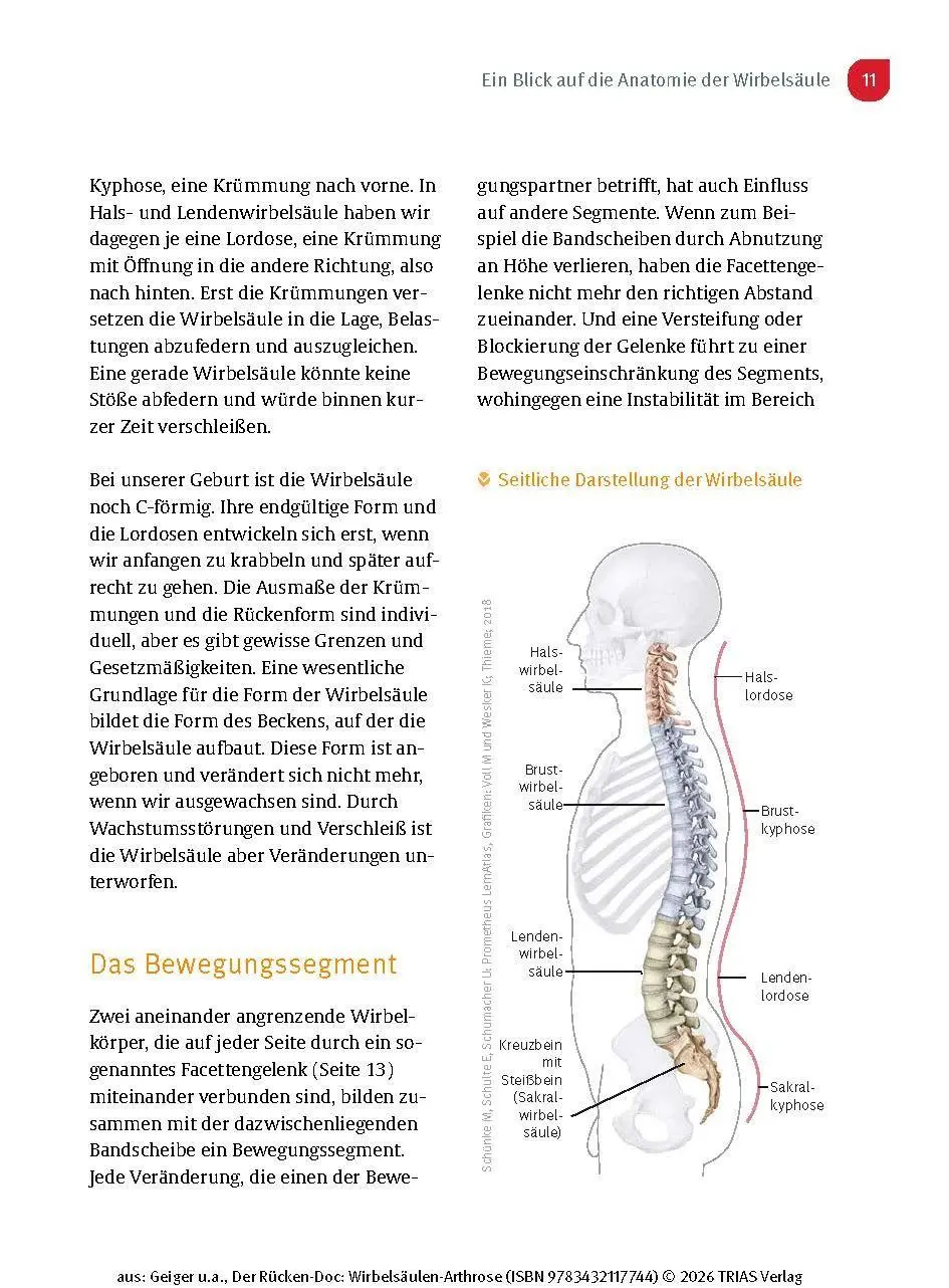 Bild: 9783432117744 | Der Rücken-Doc: Wirbelsäulen-Arthrose | Florian Geiger (u. a.) | Buch