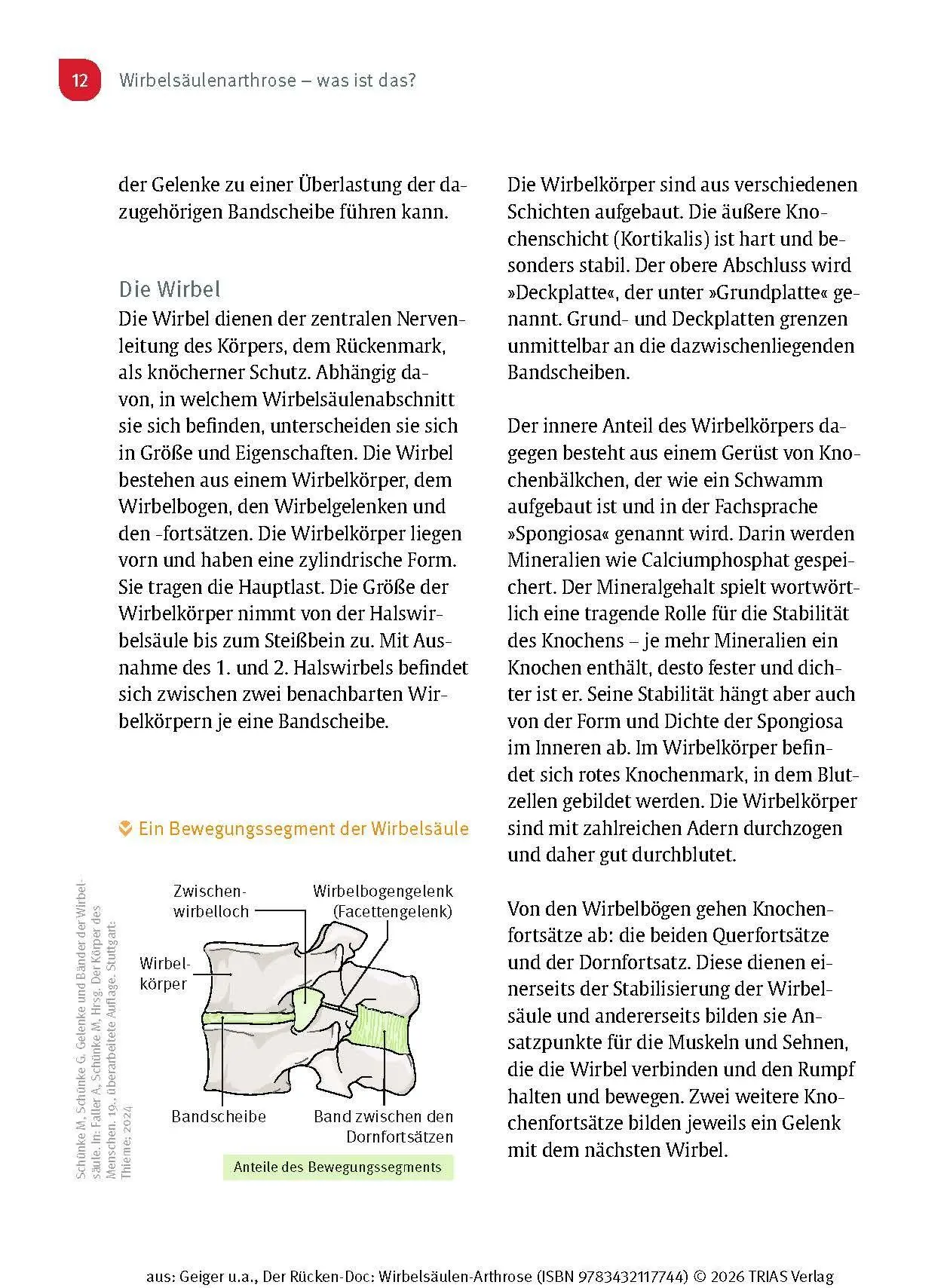 Bild: 9783432117744 | Der Rücken-Doc: Wirbelsäulen-Arthrose | Florian Geiger (u. a.) | Buch