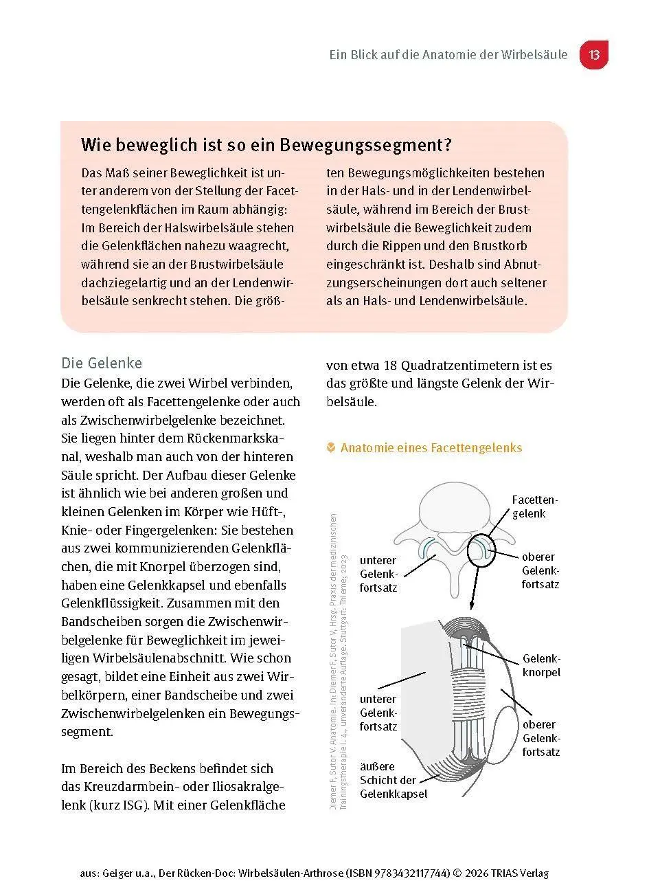 Bild: 9783432117744 | Der Rücken-Doc: Wirbelsäulen-Arthrose | Florian Geiger (u. a.) | Buch