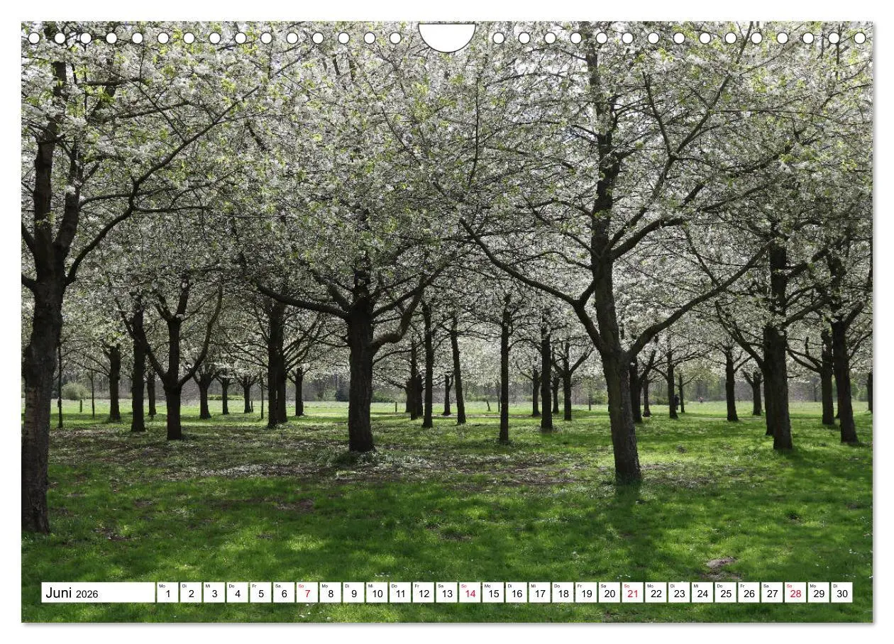 Bild: 9783516127744 | HANNOVER entdecken (Wandkalender 2026 DIN A4 quer), CALVENDO...