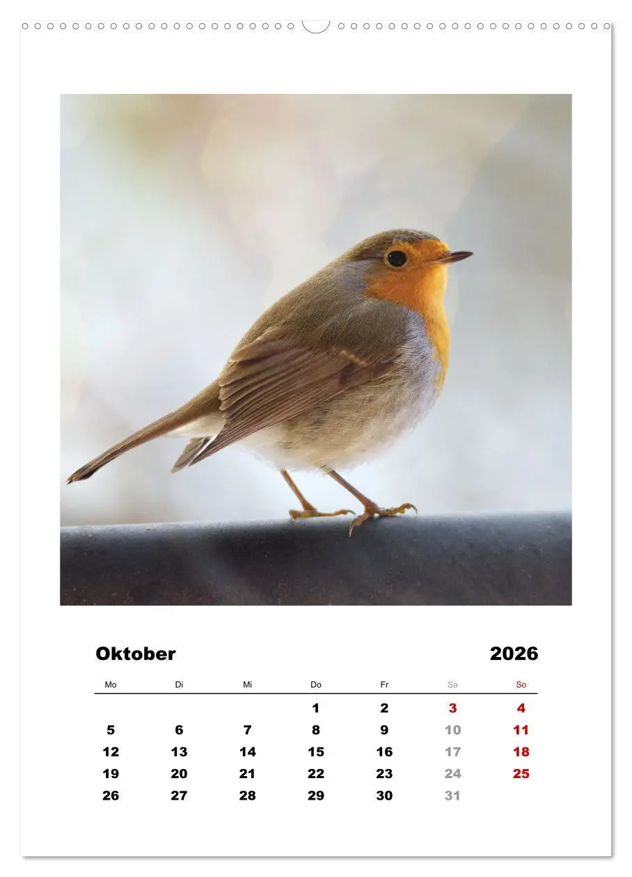 Bild: 9783516367744 | Rotkehlchen, süße kleine Knutschkugeln (hochwertiger Premium...