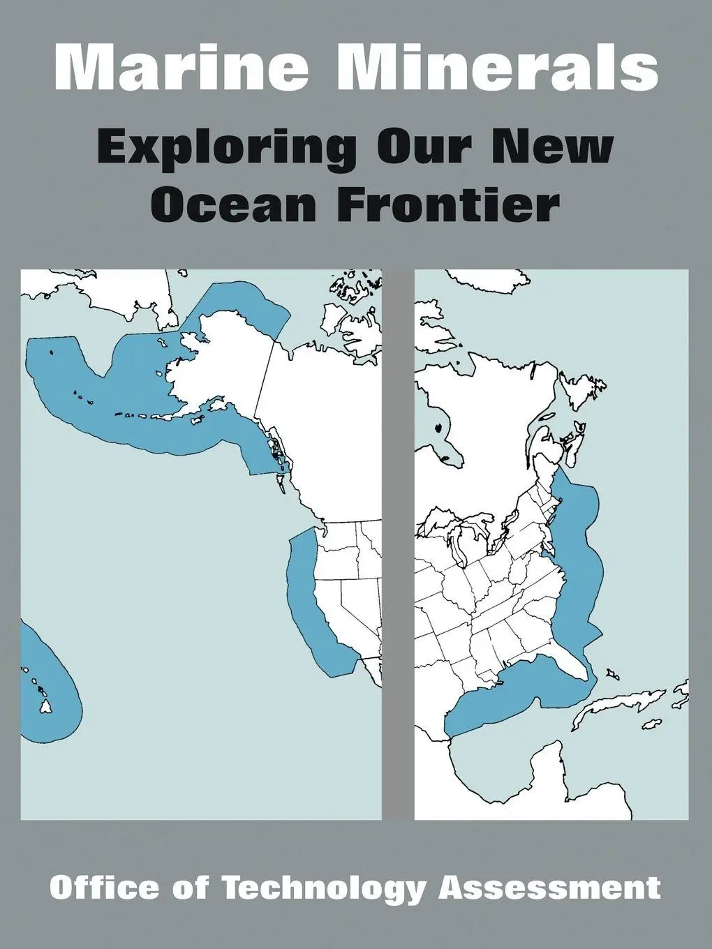 Cover: 9781410217844 | Marine Minerals | Exploring Our New Ocean Frontier | Assessment | Buch