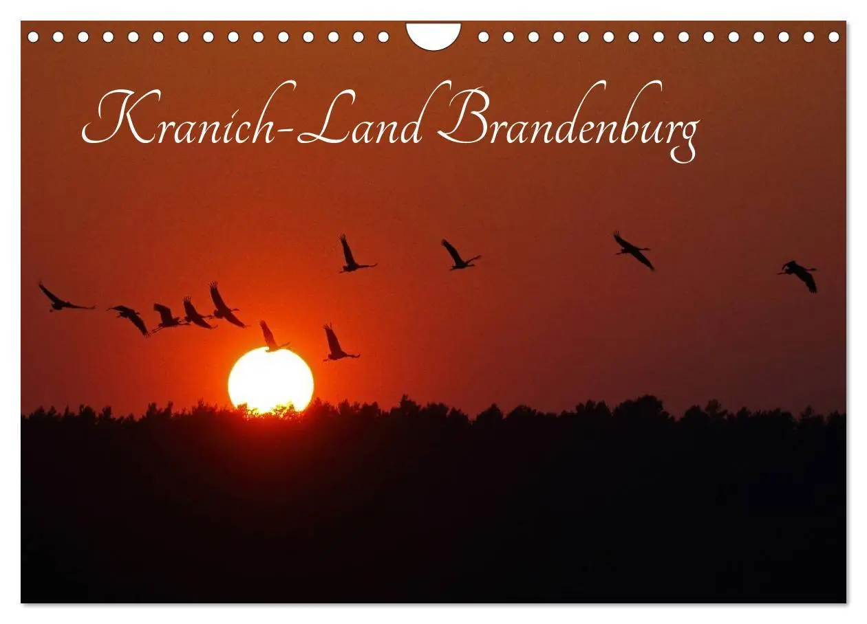 Cover: 9783516117844 | Kranich-Land Brandenburg (Wandkalender 2026 DIN A4 quer), CALVENDO...