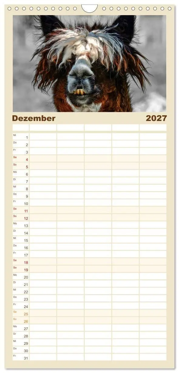 Bild: 9783594337844 | Familienplaner 2027 - Alpaka Gesichter mit 5 Spalten (Wandkalender,...