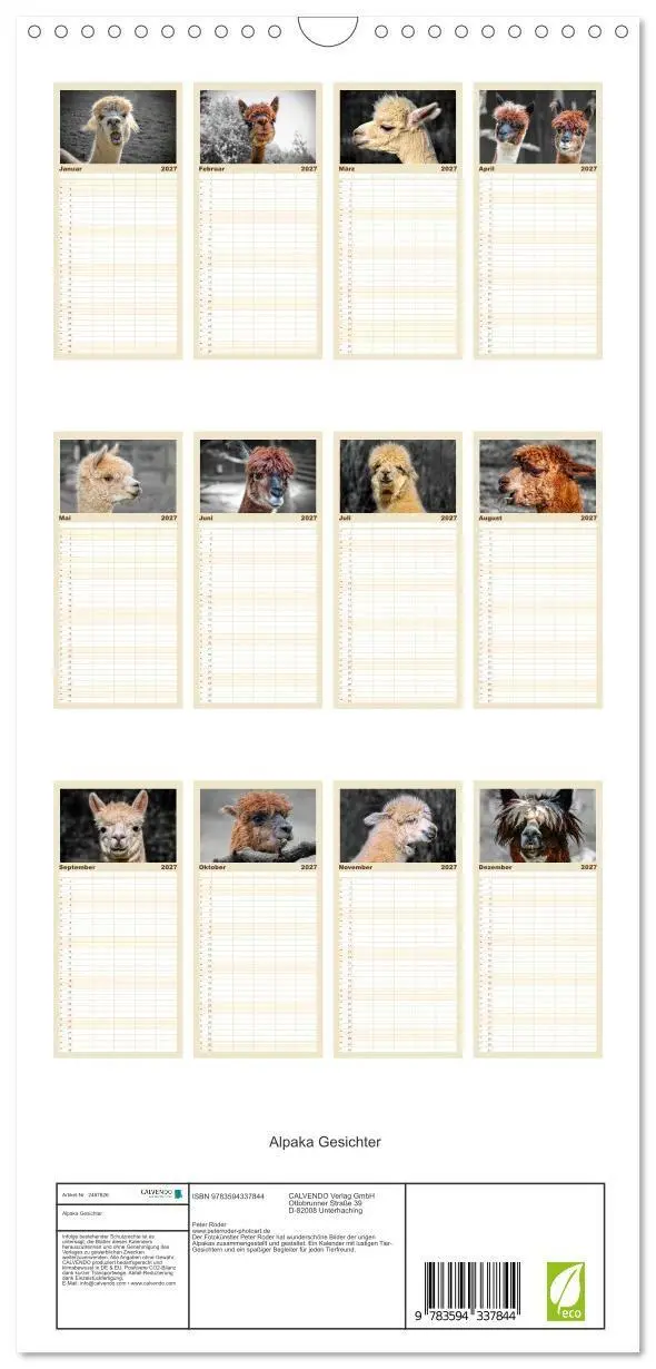 Bild: 9783594337844 | Familienplaner 2027 - Alpaka Gesichter mit 5 Spalten (Wandkalender,...