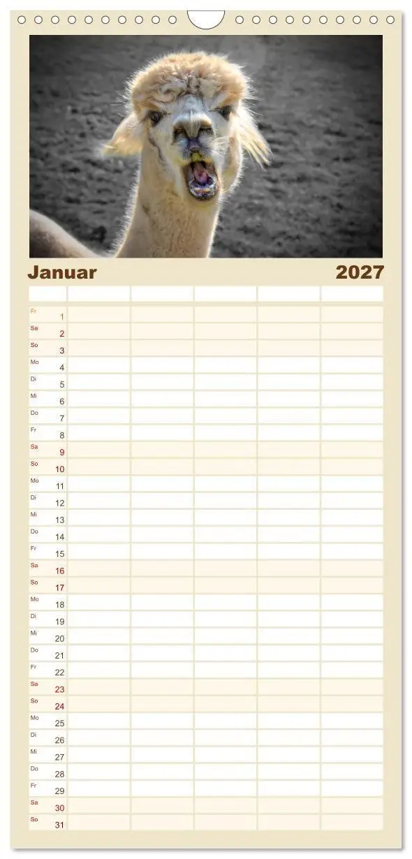 Bild: 9783594337844 | Familienplaner 2027 - Alpaka Gesichter mit 5 Spalten (Wandkalender,...
