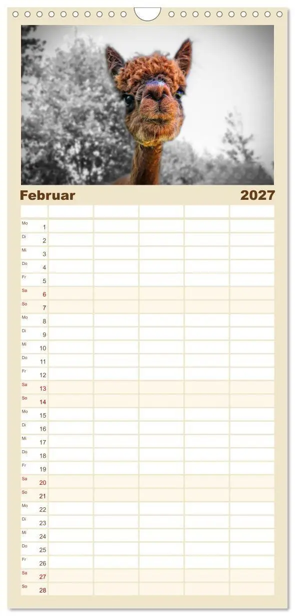Bild: 9783594337844 | Familienplaner 2027 - Alpaka Gesichter mit 5 Spalten (Wandkalender,...