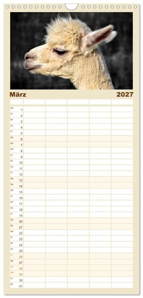 Bild: 9783594337844 | Familienplaner 2027 - Alpaka Gesichter mit 5 Spalten (Wandkalender,...