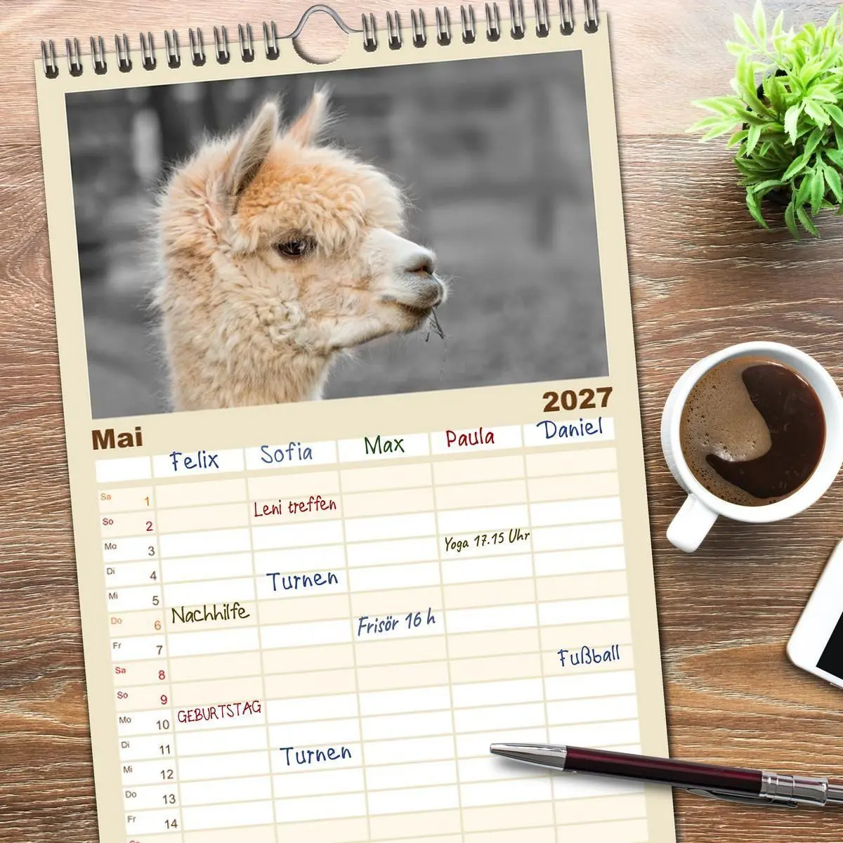 Bild: 9783594337844 | Familienplaner 2027 - Alpaka Gesichter mit 5 Spalten (Wandkalender,...