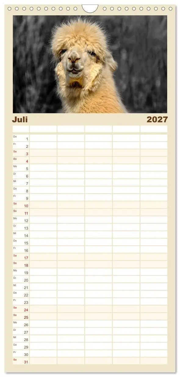 Bild: 9783594337844 | Familienplaner 2027 - Alpaka Gesichter mit 5 Spalten (Wandkalender,...