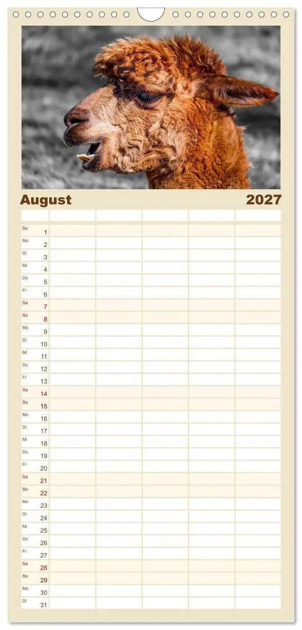 Bild: 9783594337844 | Familienplaner 2027 - Alpaka Gesichter mit 5 Spalten (Wandkalender,...