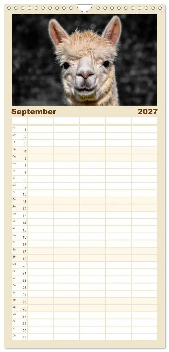 Bild: 9783594337844 | Familienplaner 2027 - Alpaka Gesichter mit 5 Spalten (Wandkalender,...