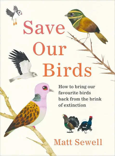 Cover: 9781529107944 | Save Our Birds | Matt Sewell | Buch | Gebunden | Englisch | 2021
