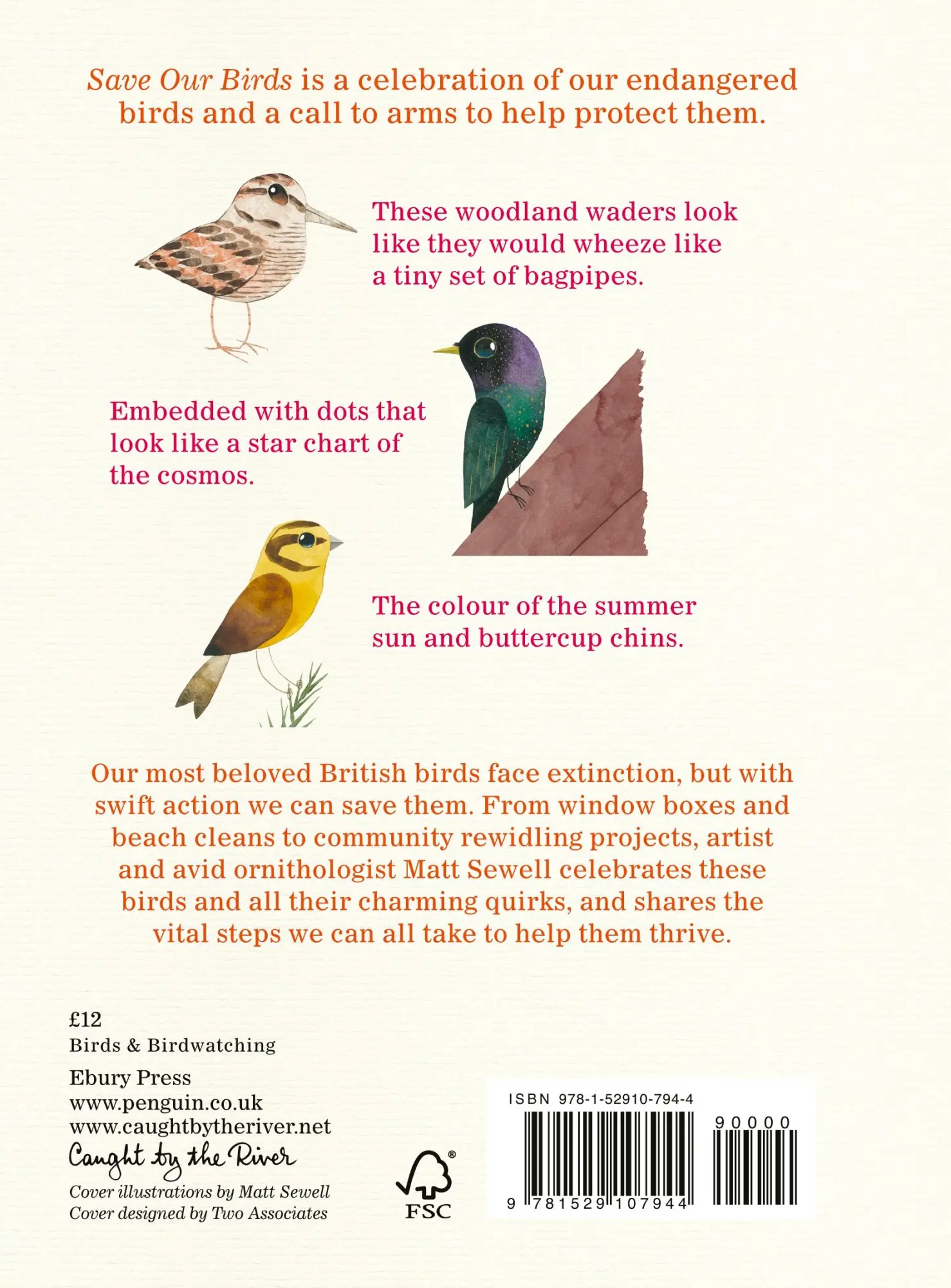 Rückseite: 9781529107944 | Save Our Birds | Matt Sewell | Buch | Gebunden | Englisch | 2021