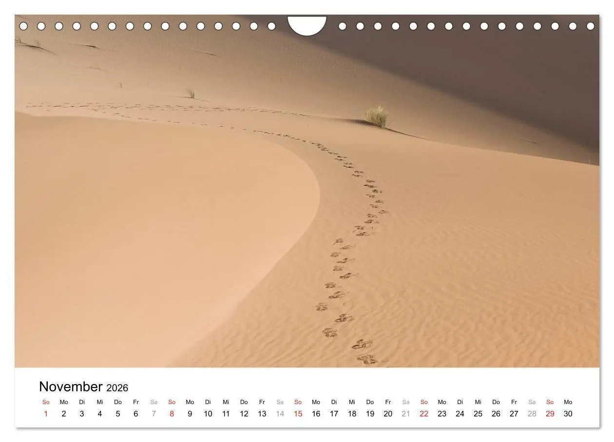 Bild: 9783457947944 | Märchenhaftes Marokko (Wandkalender 2026 DIN A4 quer), CALVENDO...