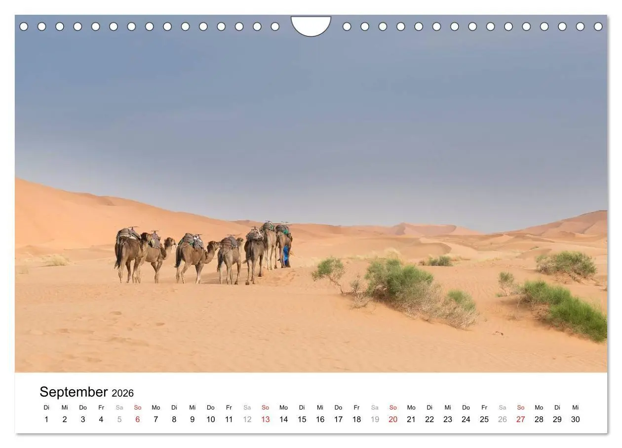 Bild: 9783457947944 | Märchenhaftes Marokko (Wandkalender 2026 DIN A4 quer), CALVENDO...