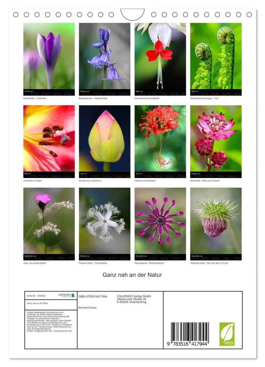 Bild: 9783516417944 | Ganz nah an der Natur (Wandkalender 2026 DIN A4 hoch), CALVENDO...