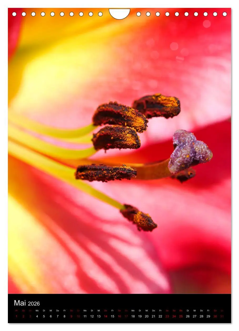 Bild: 9783516417944 | Ganz nah an der Natur (Wandkalender 2026 DIN A4 hoch), CALVENDO...