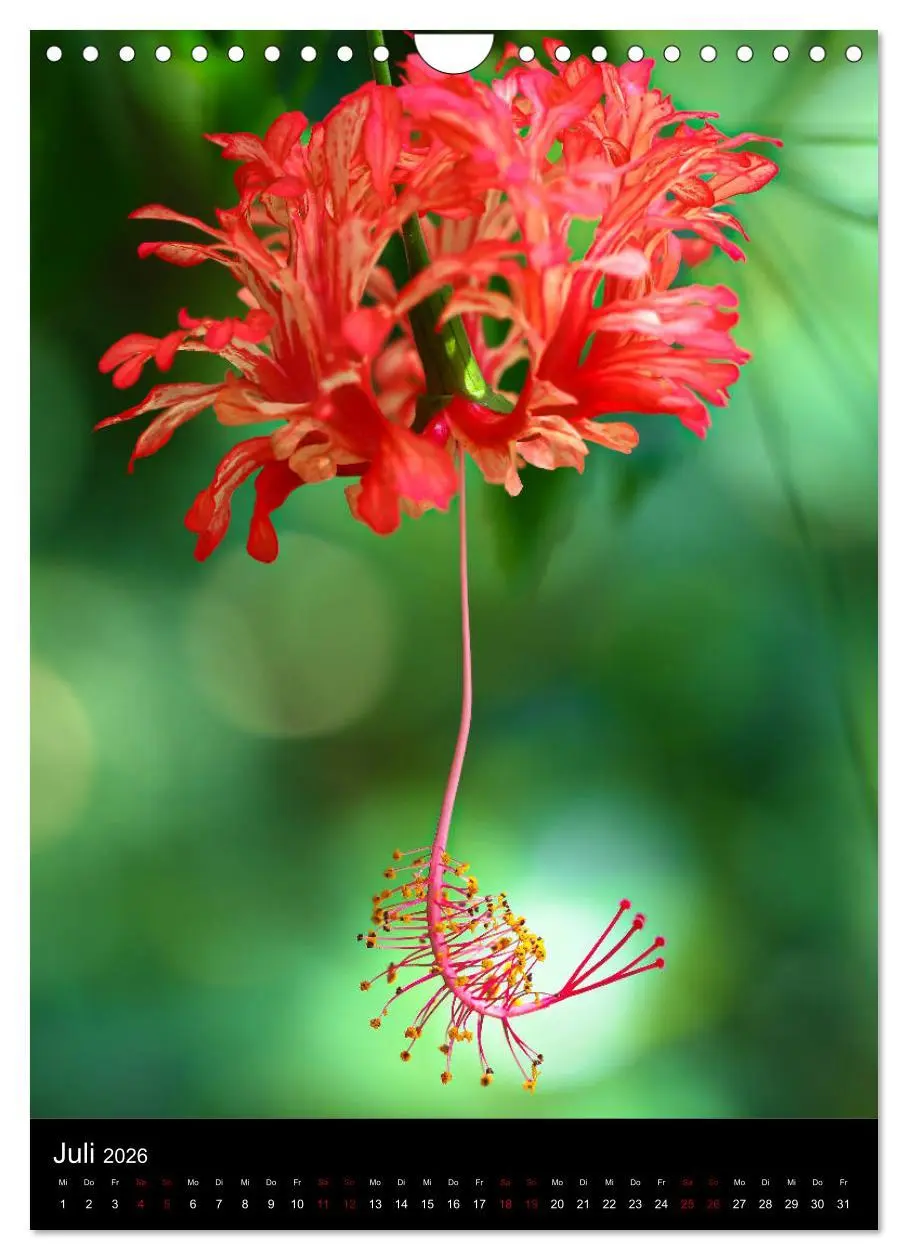 Bild: 9783516417944 | Ganz nah an der Natur (Wandkalender 2026 DIN A4 hoch), CALVENDO...