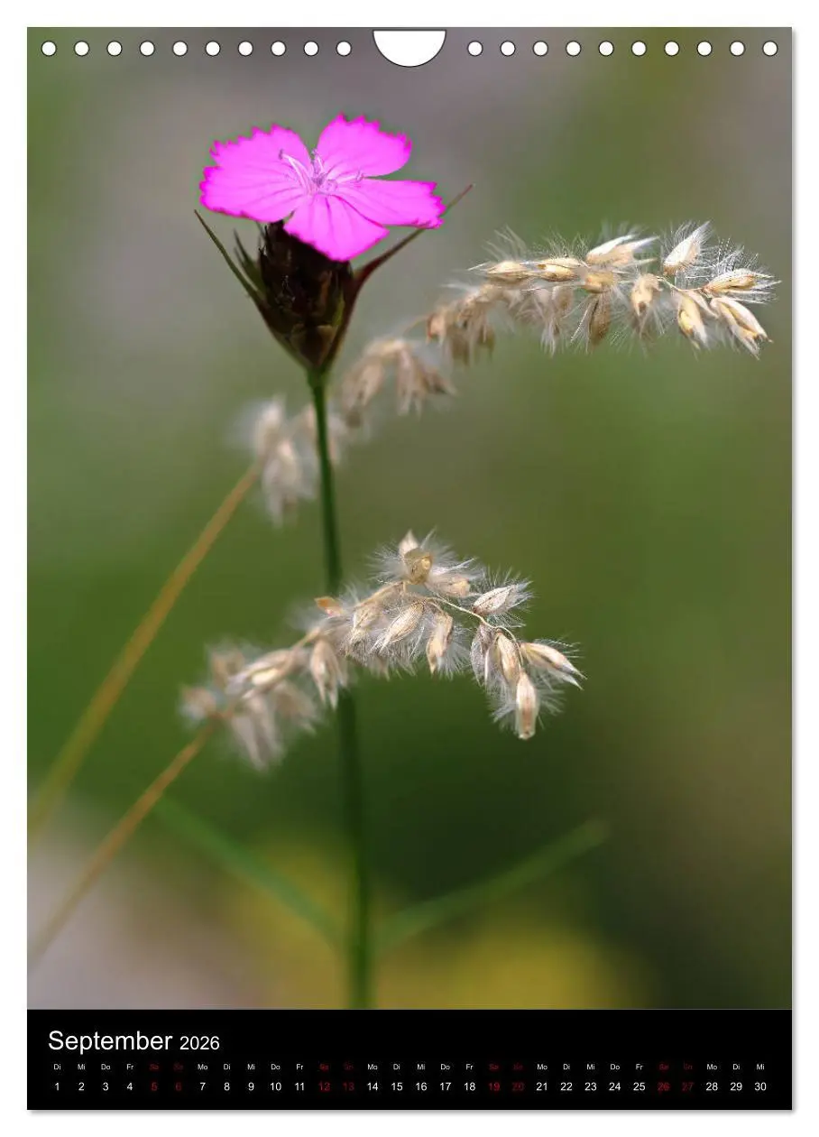 Bild: 9783516417944 | Ganz nah an der Natur (Wandkalender 2026 DIN A4 hoch), CALVENDO...