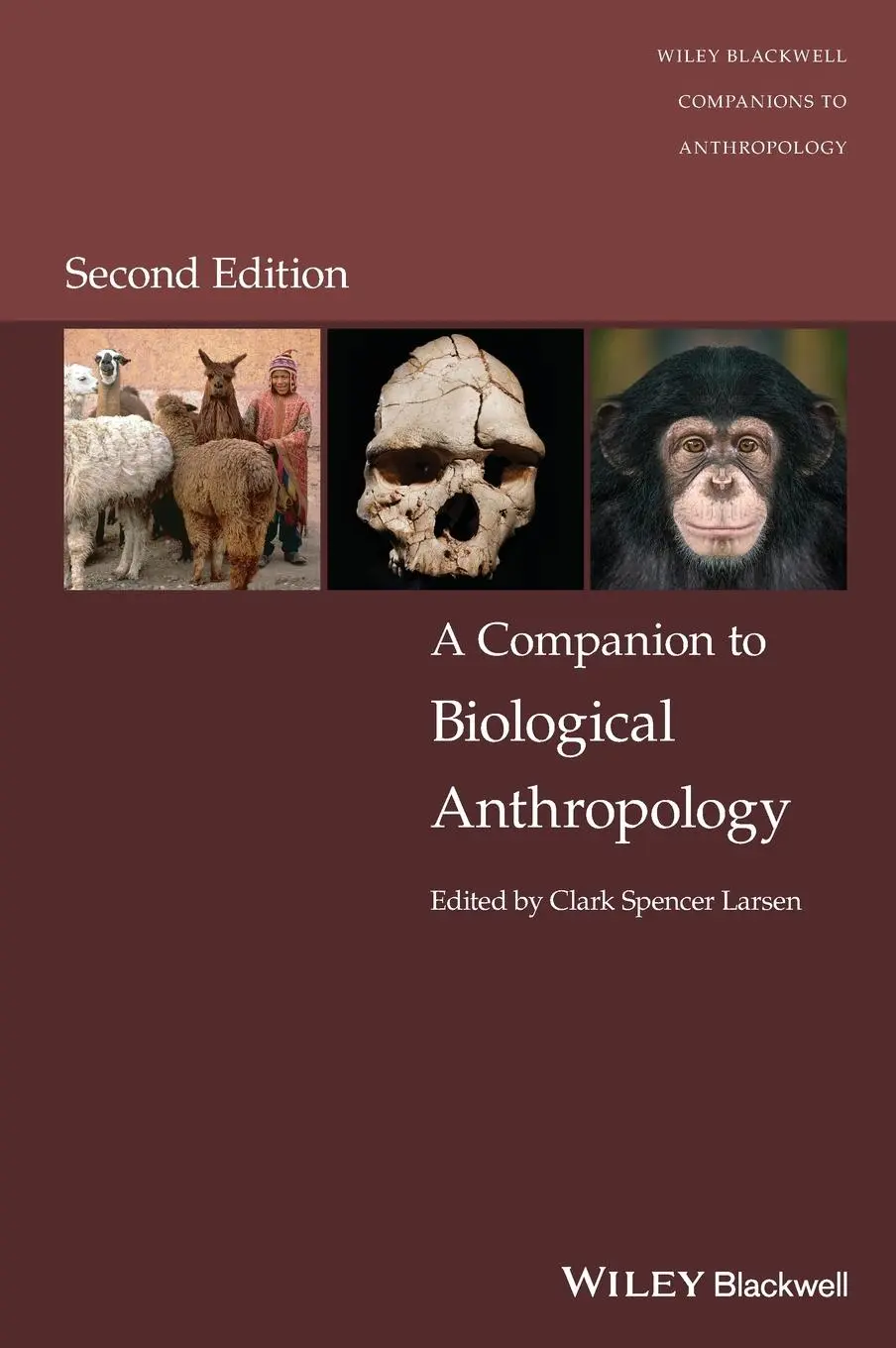 Cover: 9781119828044 | A Companion to Biological Anthropology | Clark Spencer Larsen | Buch