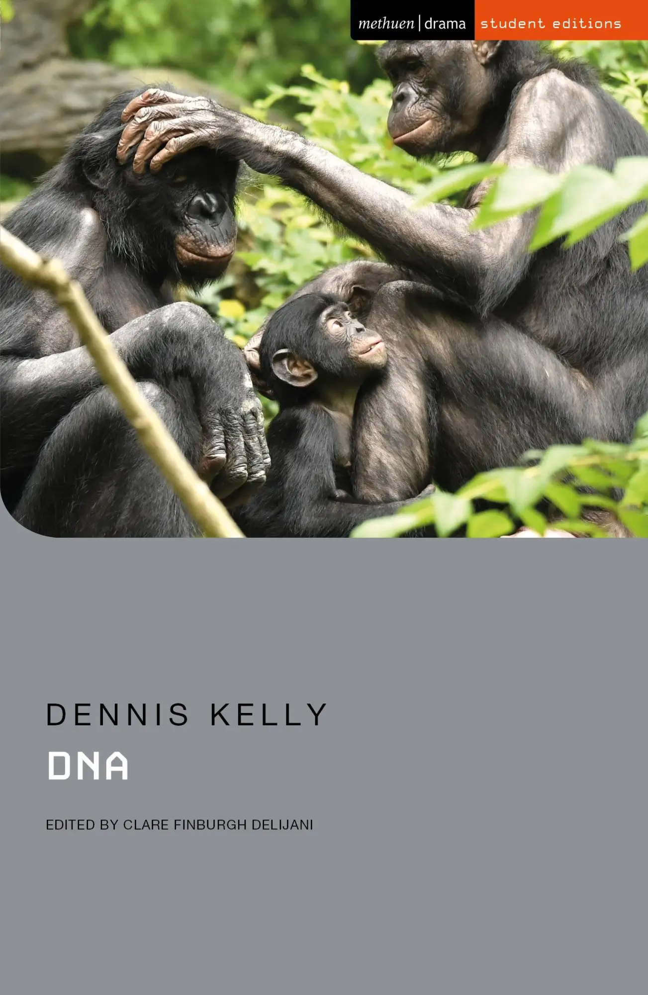 Cover: 9781350188044 | DNA | Dennis Kelly | Taschenbuch | Methuen Student Editions | Englisch