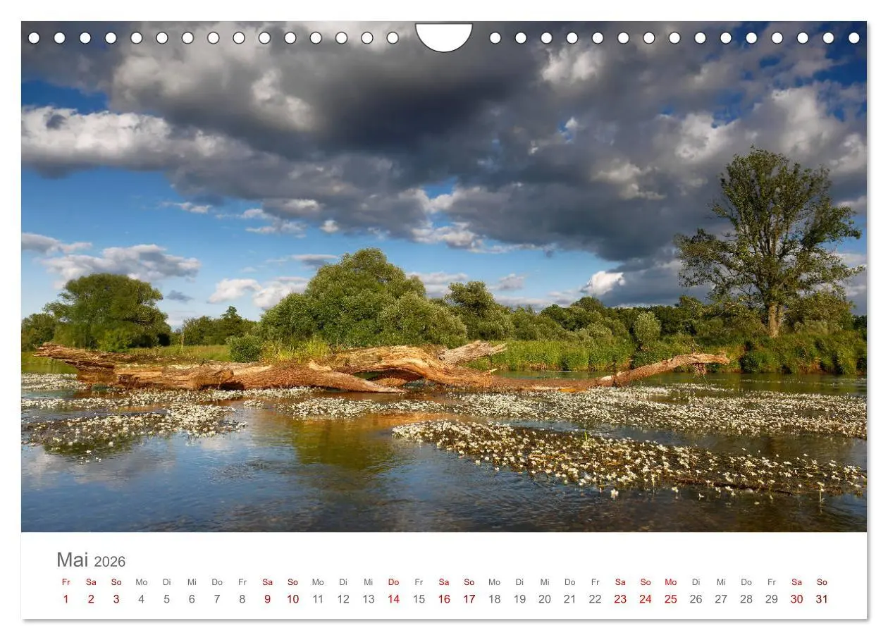 Bild: 9783457768044 | Dessau Design und ein schöner Park (Wandkalender 2026 DIN A4 quer),...
