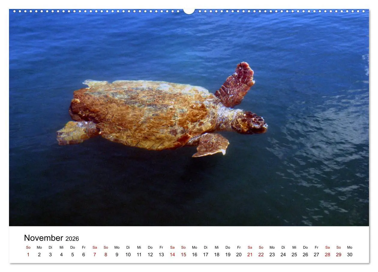 Bild: 9783457908044 | Griechenland - Insel Kefalonia (Wandkalender 2026 DIN A2 quer),...