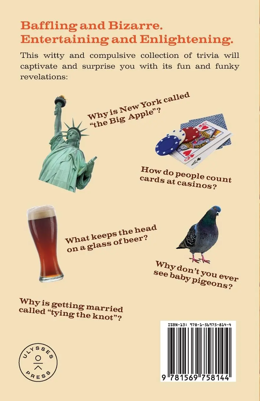 Rückseite: 9781569758144 | What Did We Use Before Toilet Paper? | Andrew Thompson | Taschenbuch