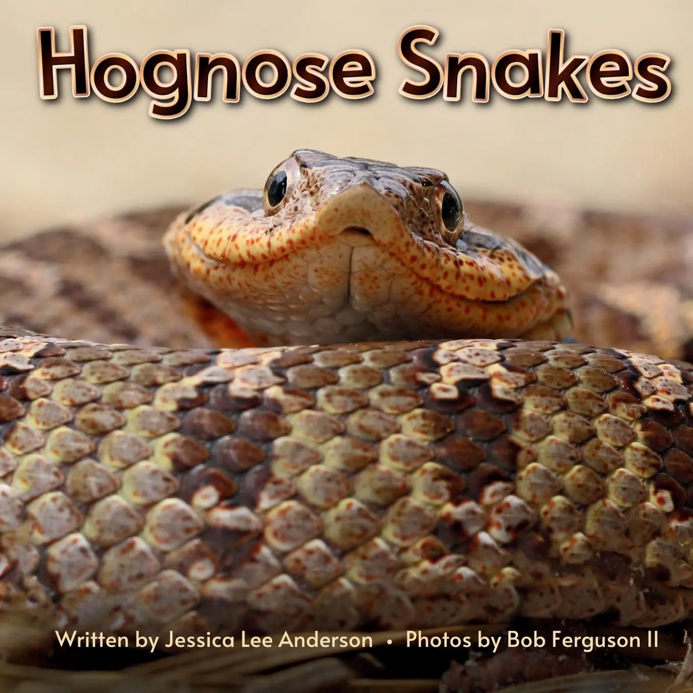 Cover: 9781964078144 | Hognose Snakes | Jessica Anderson (u. a.) | Taschenbuch | Englisch