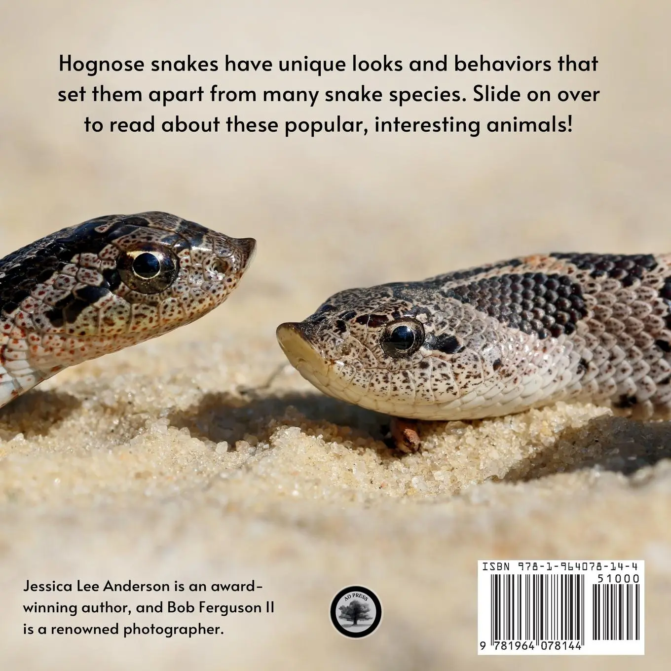 Rückseite: 9781964078144 | Hognose Snakes | Jessica Anderson (u. a.) | Taschenbuch | Englisch